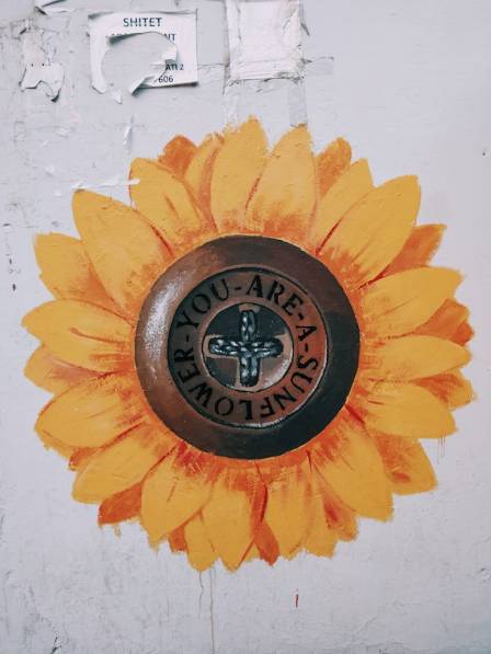 A Comprehensive Beginner's Guide to Drawing a Realistic Sunflower