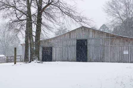What to Do If You’re Caught in a Winter Storm