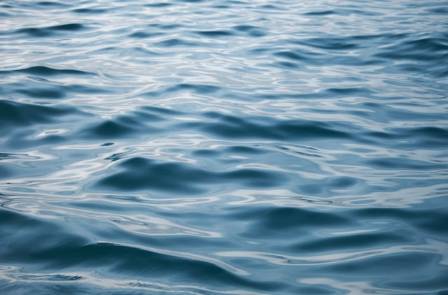 Sea Surface Salinity