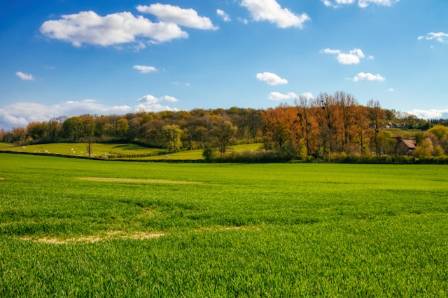 Enjoy the Leisure Life in the Pastoral Town