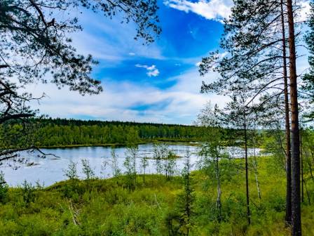 The best wetlands in the world