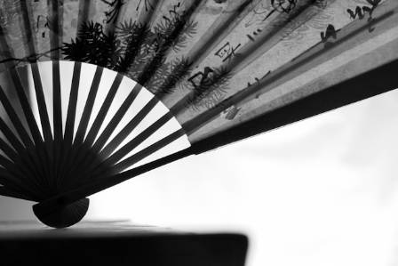 Chinese Folding Fan: Elegance and Heritage